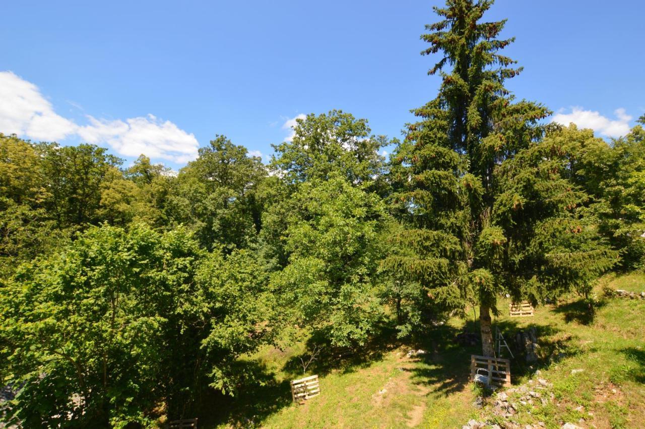 Haus Natura Jurdani ภายนอก รูปภาพ