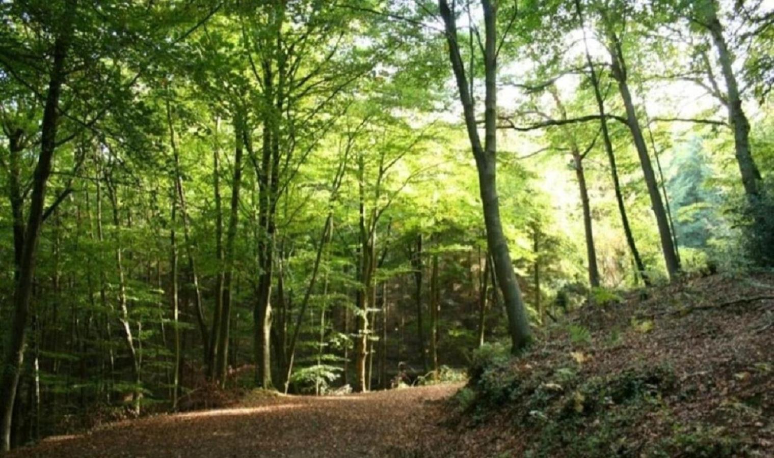 Haus Natura Jurdani ภายนอก รูปภาพ